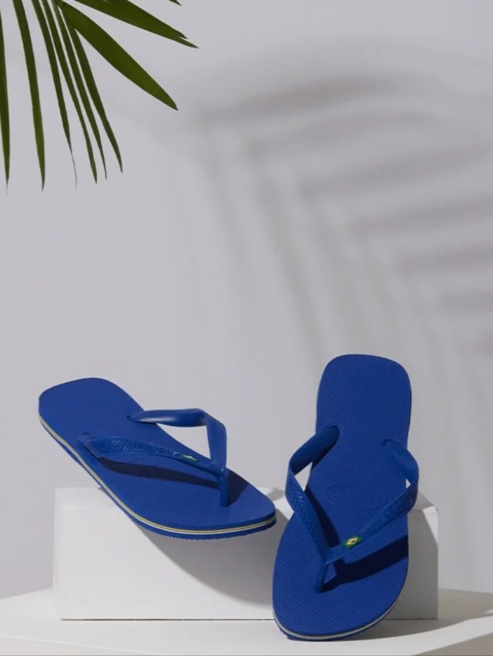 NWT Unisex Havaianas Flip-flops